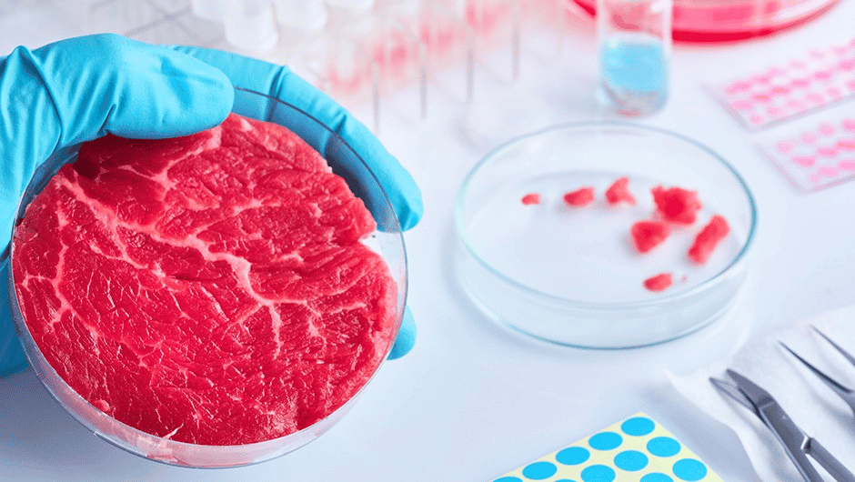 Em meio a uma crise climática, os holandeses criam carne em laboratório, uma alternativa ecológica, saborosa e saudável para o mundo.